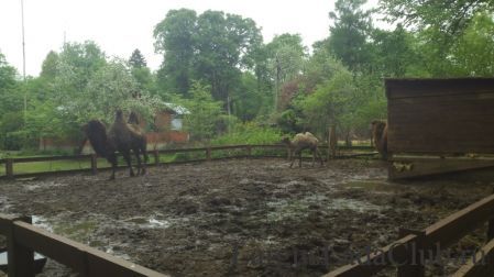 ����� ����������1769