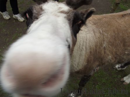 ��������1970