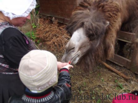 ��������1973